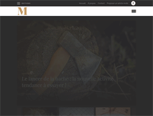 Tablet Screenshot of miec.fr